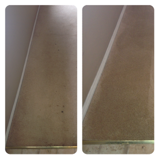 carpet-cleaning-bloomfield-before-after-6